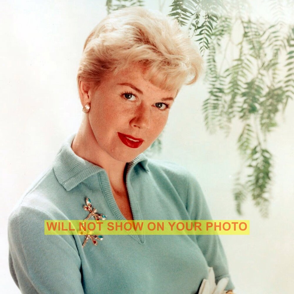 Photo Collectible Print 8x10 Hollywood Actress Lovely Doris Day - Yes More Pics